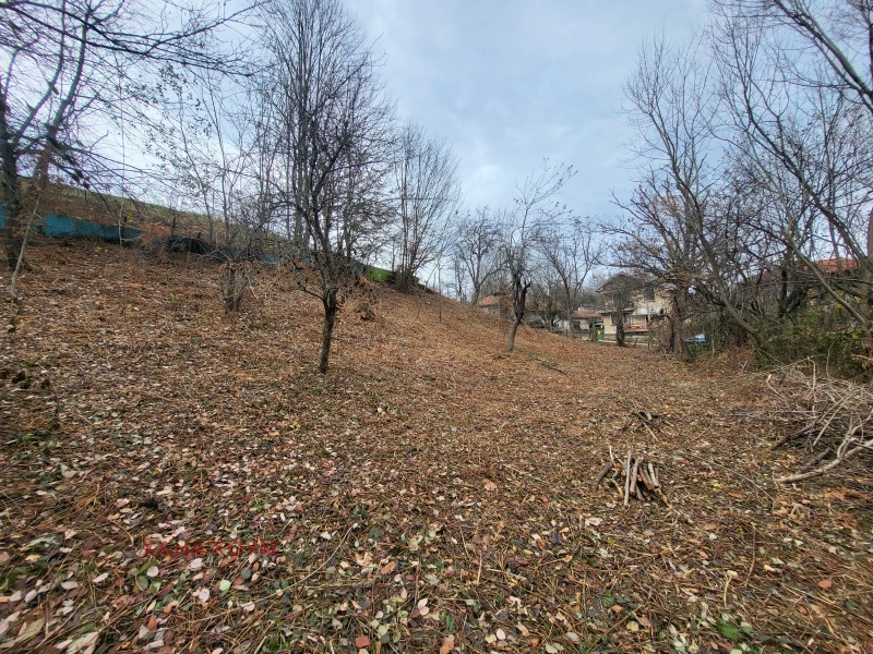 Продава ПАРЦЕЛ, гр. Троян, област Ловеч, снимка 10 - Парцели - 52791679