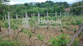 Продава КЪЩА, област Бургас, с. Изгрев • 104000 € • 81150718 — Holmes.bg