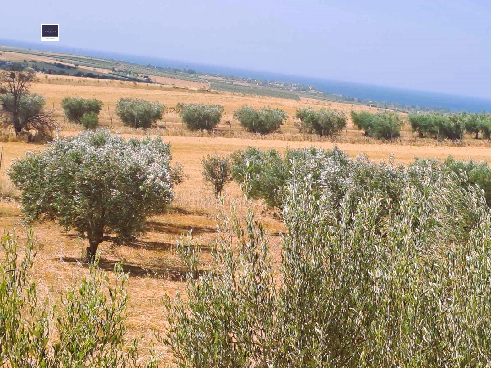 ������� ���� | Imot.bg � ����������� 4