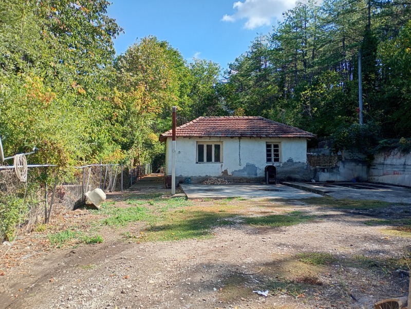 Продава КЪЩА, гр. Плевен, 9-ти квартал, снимка 4 - Къщи - 52132960