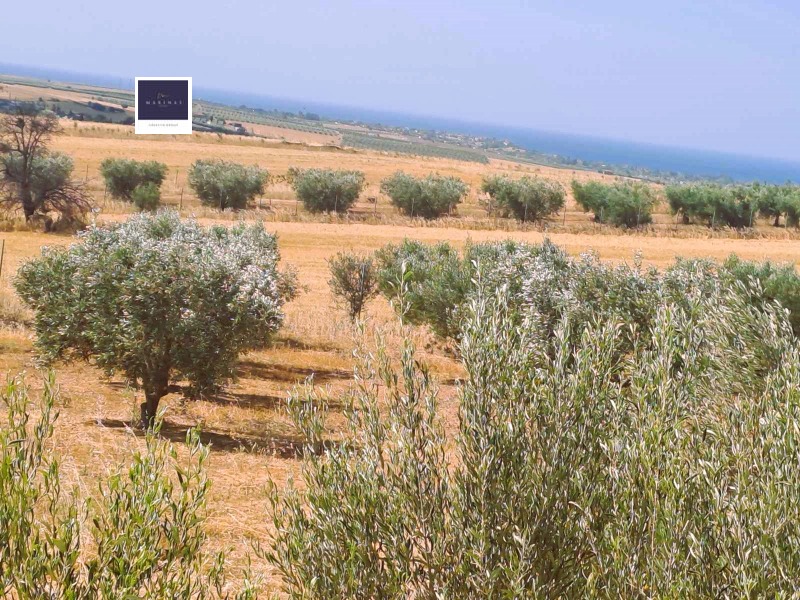 Продава КЪЩА, Извън страната, област Извън страната, снимка 3 - Къщи - 52956327