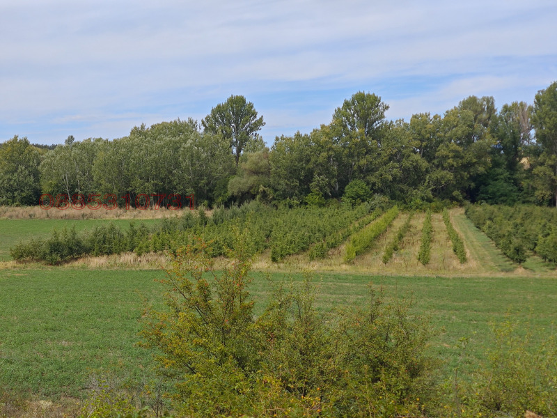 Продава ЗЕМЕДЕЛСКА ЗЕМЯ, с. Берсин, област Кюстендил