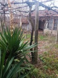 Продава КЪЩА, област Шумен, с. Мараш • 125000 лв. • 69184088 — Holmes.bg