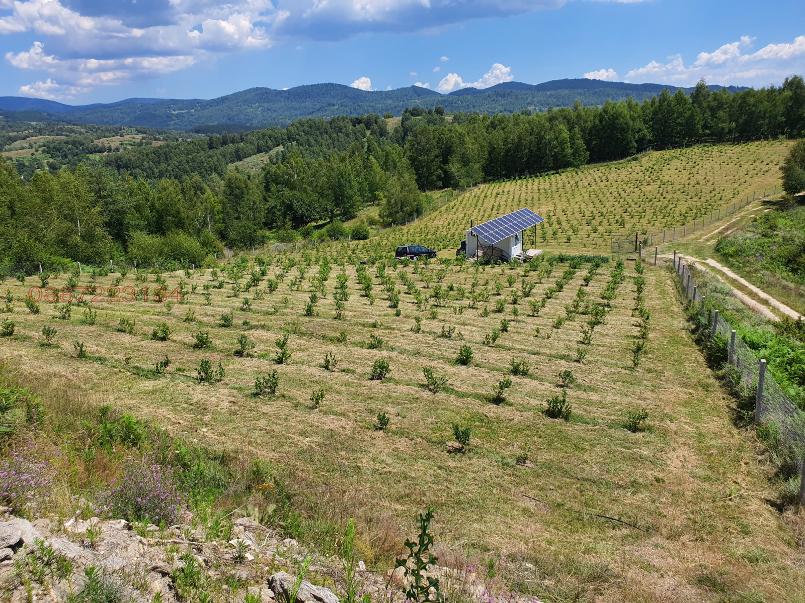 ������� ���������� ���� | Imot.bg � ����������� 1