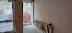 ����� ������� �������,���� �����, ������