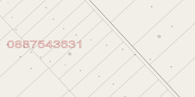 ����� ������� ������,���� ����� ������, ���������� ������