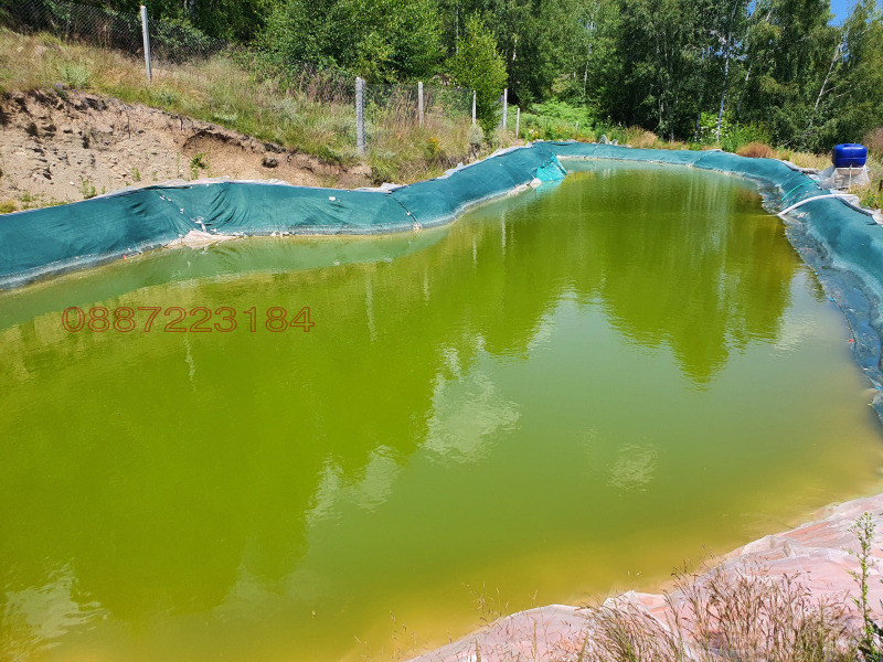 Продава ЗЕМЕДЕЛСКА ЗЕМЯ, с. Сатовча, област Благоевград, снимка 5 - Земеделска земя - 52784566