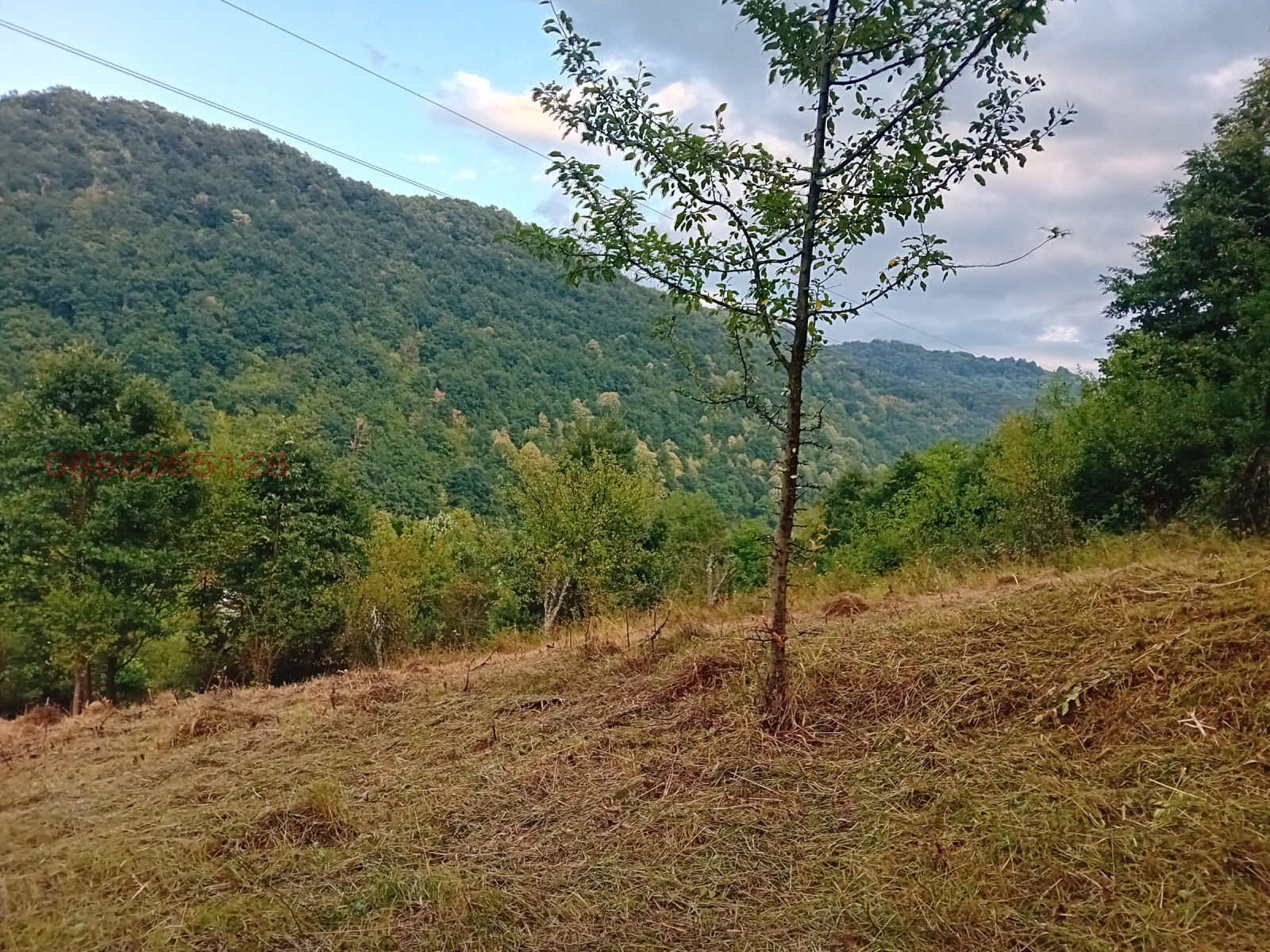 Продава ПАРЦЕЛ, с. Балканец, област Ловеч, снимка 4 - Парцели - 53750311