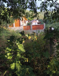Продава ПАРЦЕЛ, с. Сапарево, област Кюстендил, снимка 2