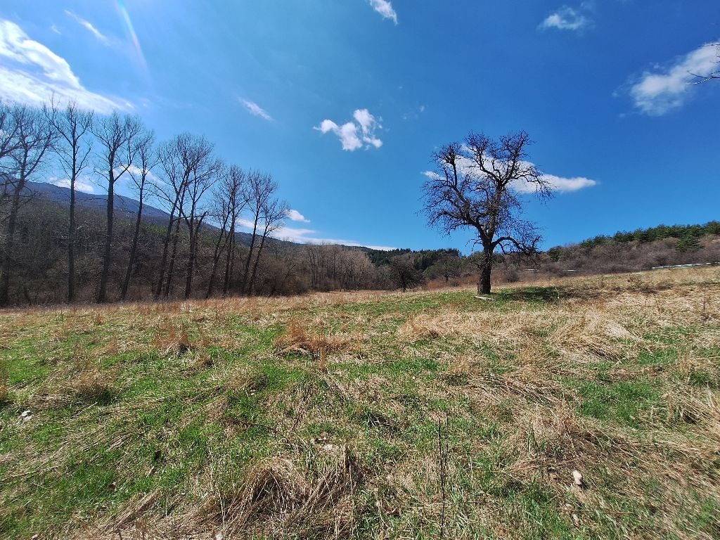 ������� ������ | Imot.bg � ����������� 6