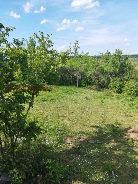 ������� ������ | Imot.bg � ����� ������ 8