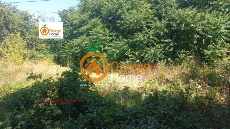 De vânzare  Casa regiunea Dobrich , Obrociiște , 60 mp | 46389727 - imagine [10]