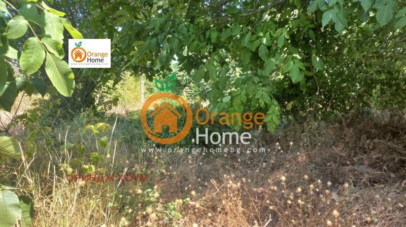 De vânzare  Casa regiunea Dobrich , Obrociiște , 60 mp | 46389727 - imagine [9]