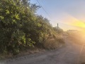 Продава КЪЩА, с. Слънчево, област Варна, снимка 9
