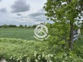 Продава ПАРЦЕЛ, с. Граф Игнатиево, област Пловдив, снимка 1