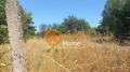 Продава КЪЩА, област Добрич, с. Оброчище • 85000 € • 47434725 — Holmes.bg