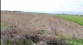 Продава ПАРЦЕЛ, с. Труд, област Пловдив, снимка 1
