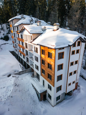 Studio k.k. Pamporovo, région Smolyan 1