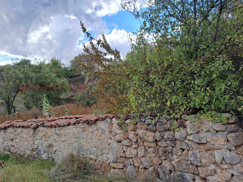 Продава ПАРЦЕЛ, с. Таваличево, област Кюстендил, снимка 4 - Парцели - 52781925