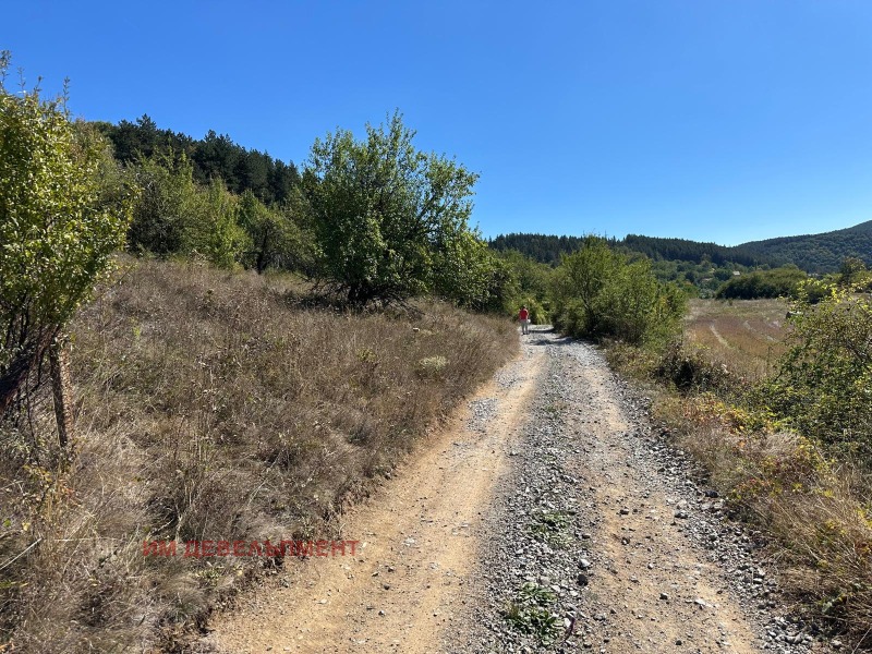 Satılık  Komplo bölge Pernik , Studena , 1200 metrekare | 56448135 - görüntü [4]