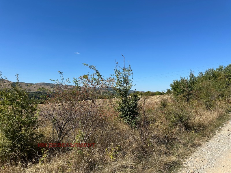 Satılık  Komplo bölge Pernik , Studena , 1200 metrekare | 56448135 - görüntü [5]