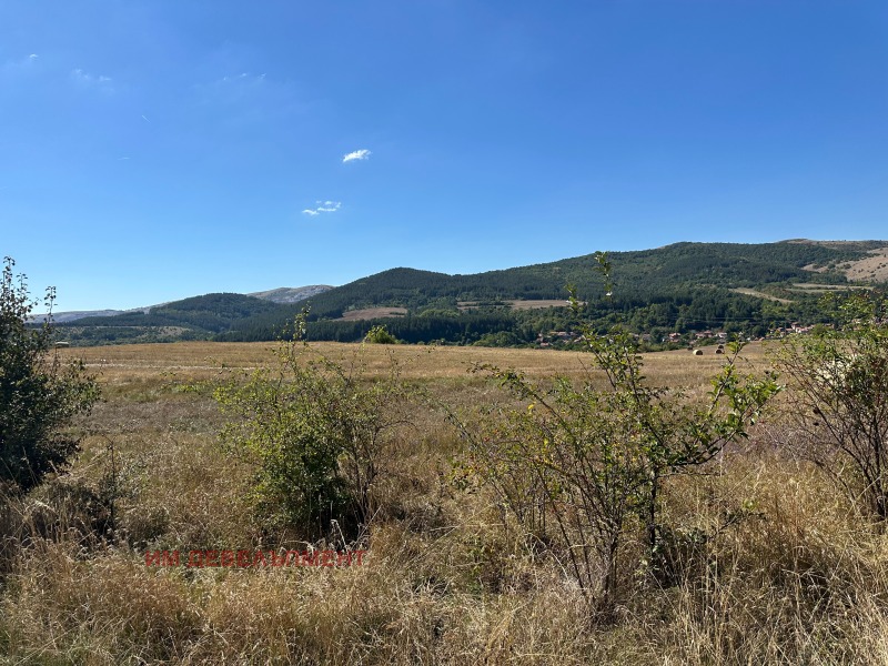 Satılık  Komplo bölge Pernik , Studena , 1200 metrekare | 56448135 - görüntü [6]