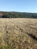 Продава ПАРЦЕЛ, гр. Самоков, област София област, снимка 2