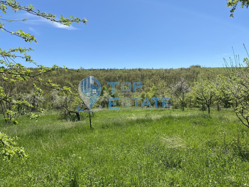Продава ПАРЦЕЛ в област Габрово, с. Длъгня - 1700 кв.м / 21 990 € » 43 008.70 лв., ТОП ЕСТЕЙТ