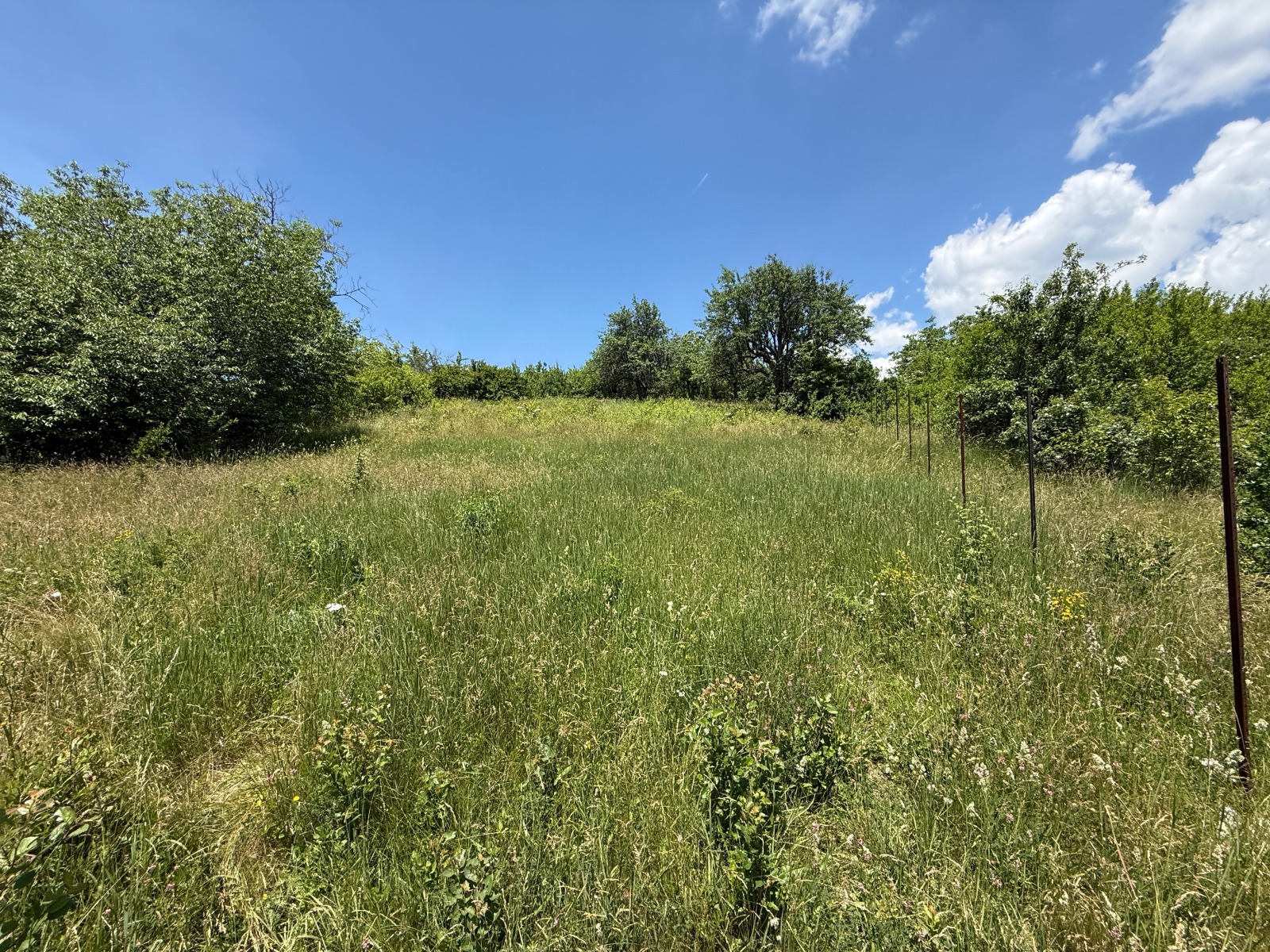 ������� ������ | Imot.bg � ����������� 8