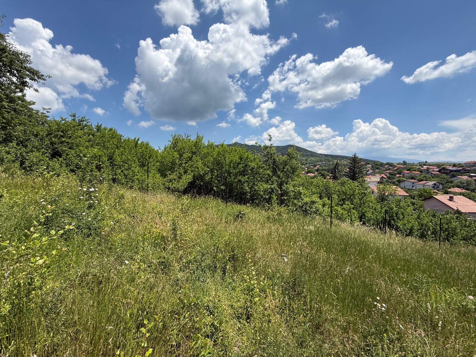 ������� ������ | Imot.bg � ����������� 10