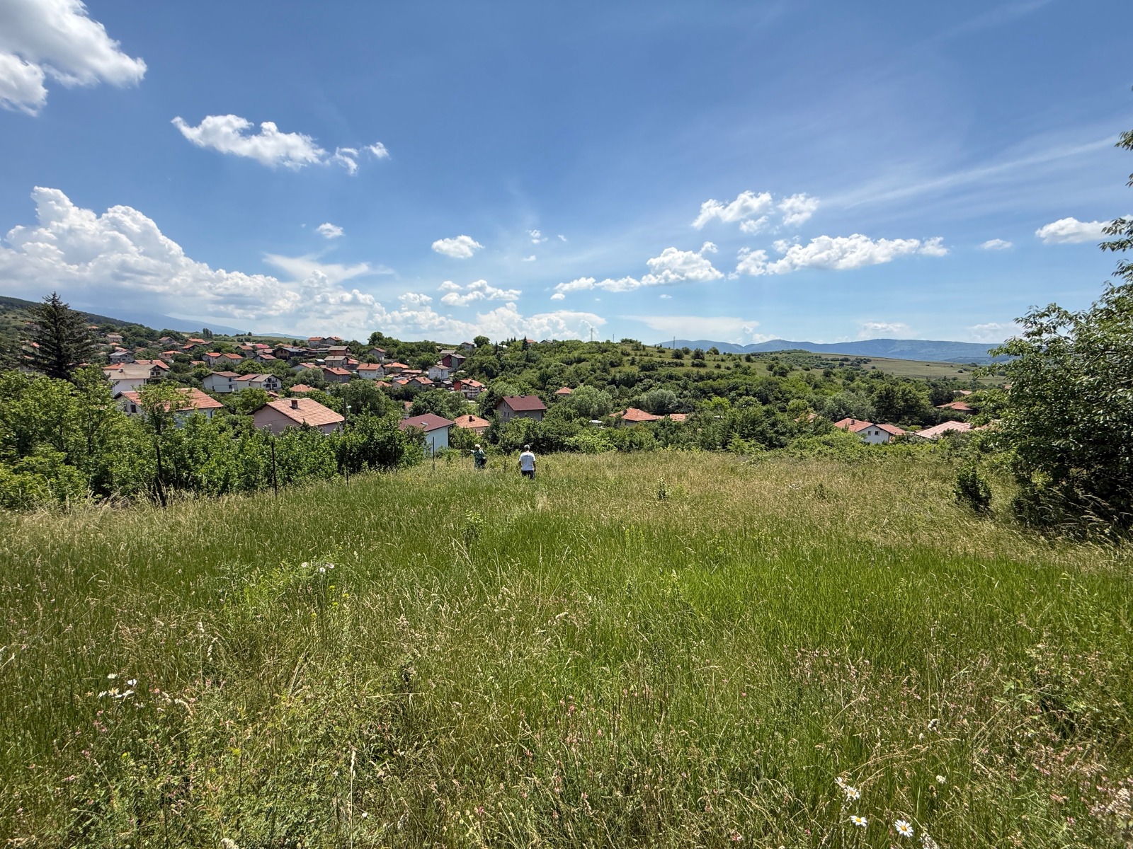 ������� ������ | Imot.bg � ����������� 1