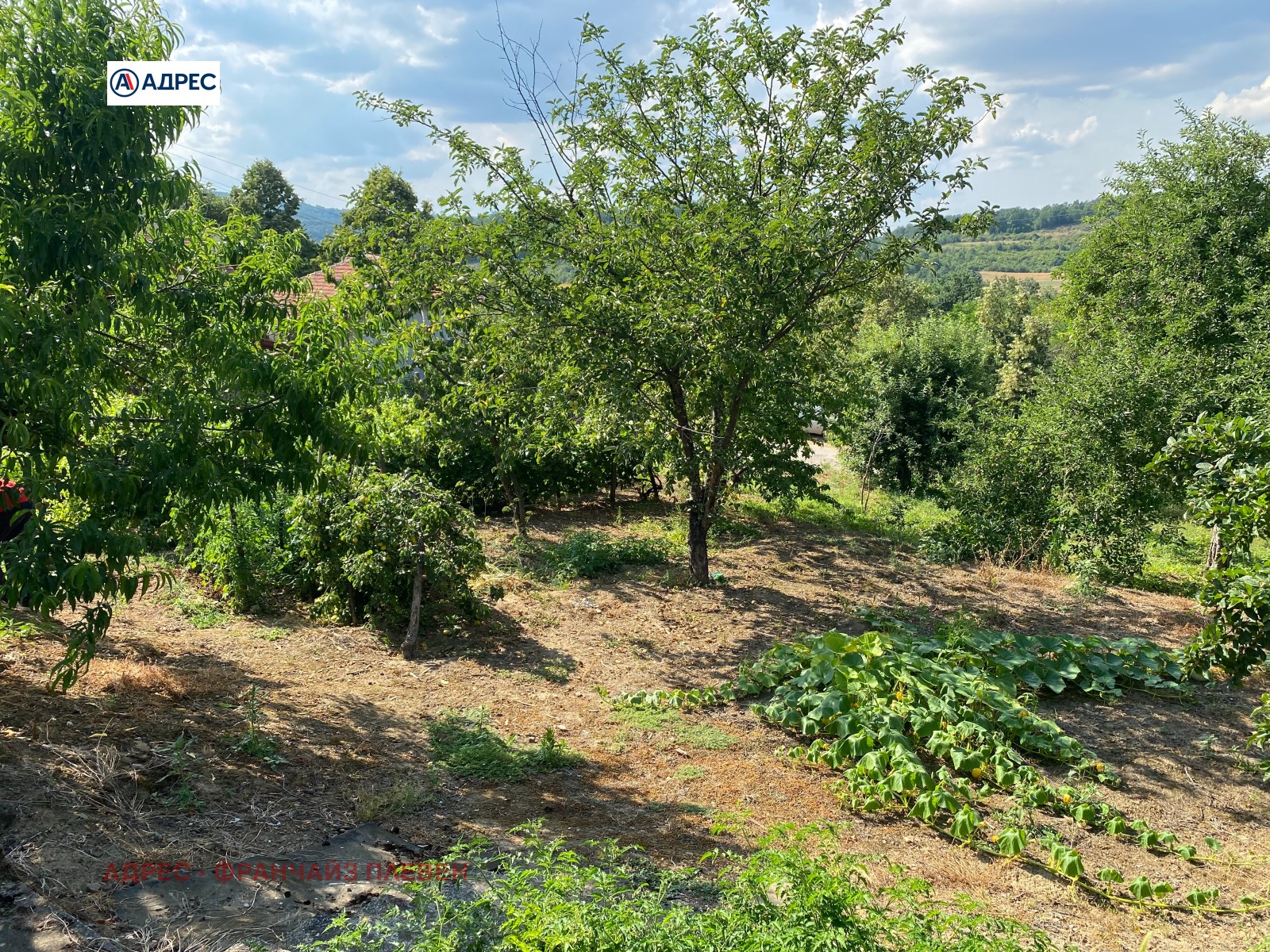 Продава КЪЩА, с. Курново, област Враца, снимка 5 - Къщи - 55361637