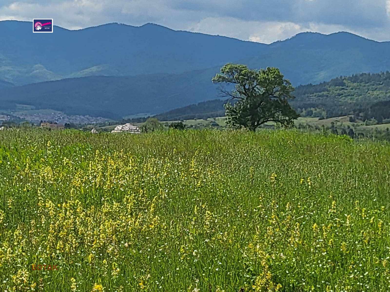 Продава ЗЕМЕДЕЛСКА ЗЕМЯ, гр. Велинград, област Пазарджик, снимка 2 - Земеделска земя - 54377514