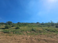 Продава ПАРЦЕЛ, с. Марково, област Пловдив, снимка 2