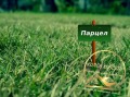Продава ПАРЦЕЛ, област Хасково, с. Каснаково • 18000 € / 35204.94 лв. • 39316974 1