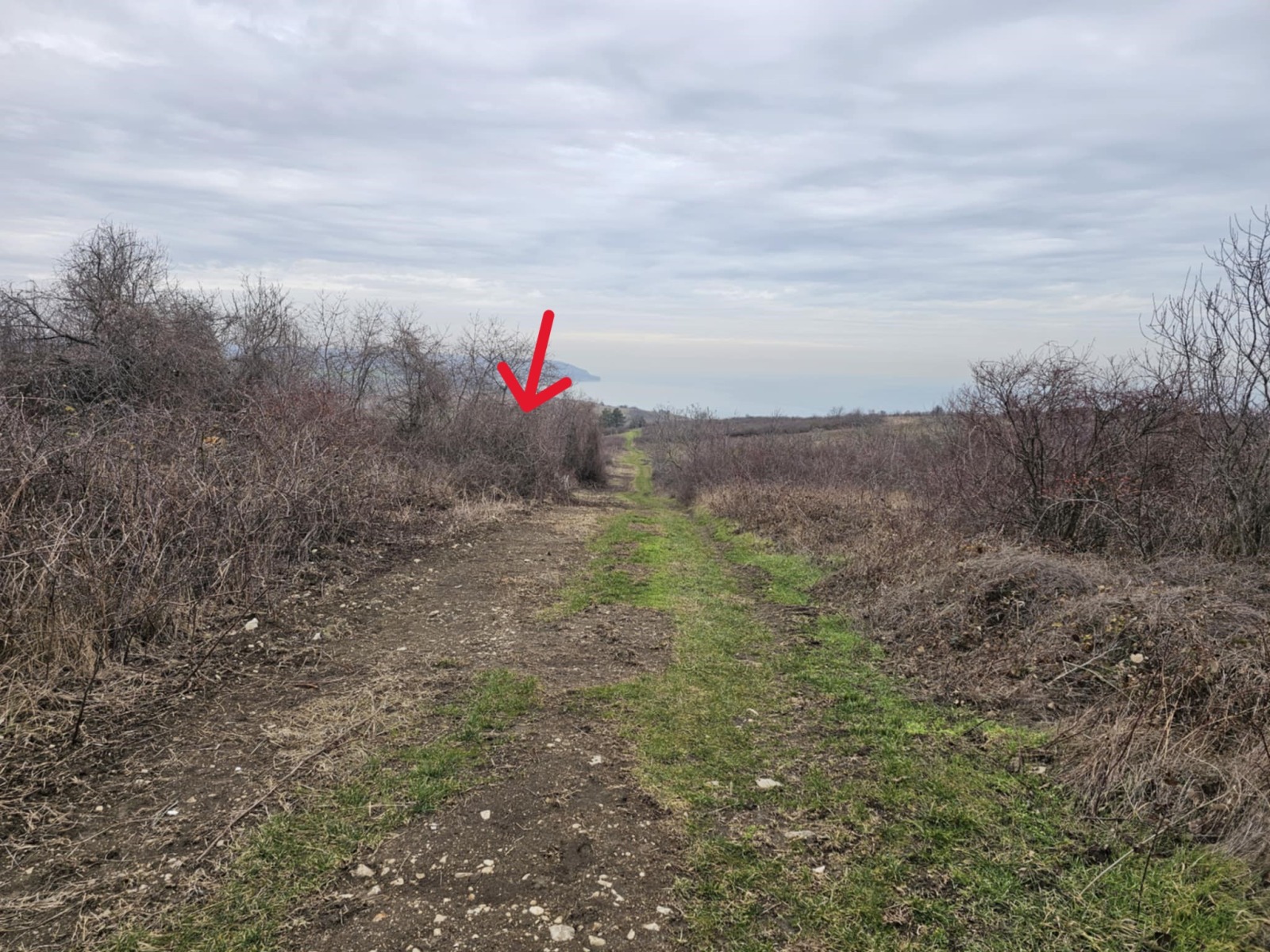 ������� ������ | Imot.bg � ����������� 2