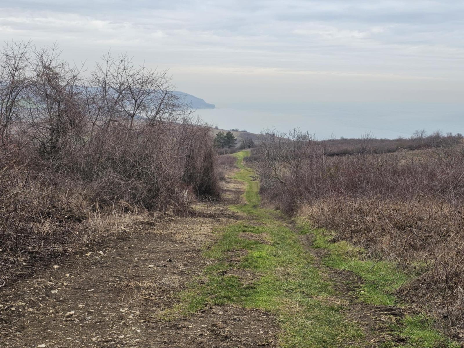 ������� ������ | Imot.bg � ����������� 8