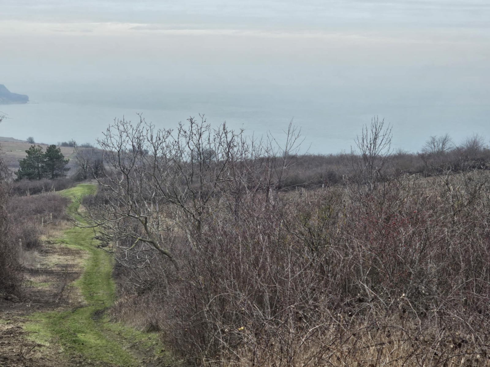 ������� ������ | Imot.bg � ����������� 6