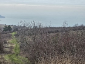 ������� ������ | Imot.bg � ����� ������ 6