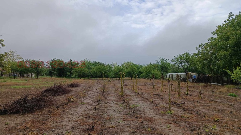 Продава КЪЩА, гр. Дулово, област Силистра, снимка 2 - Къщи - 52784657