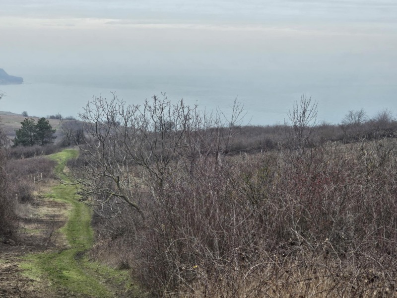 Продава ПАРЦЕЛ, гр. Бяла, област Варна, снимка 5 - Парцели - 53250904