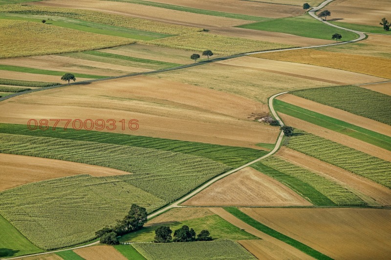 Til salg  Jord region Silistra , Gospodinovo , 6 dka | 79784065