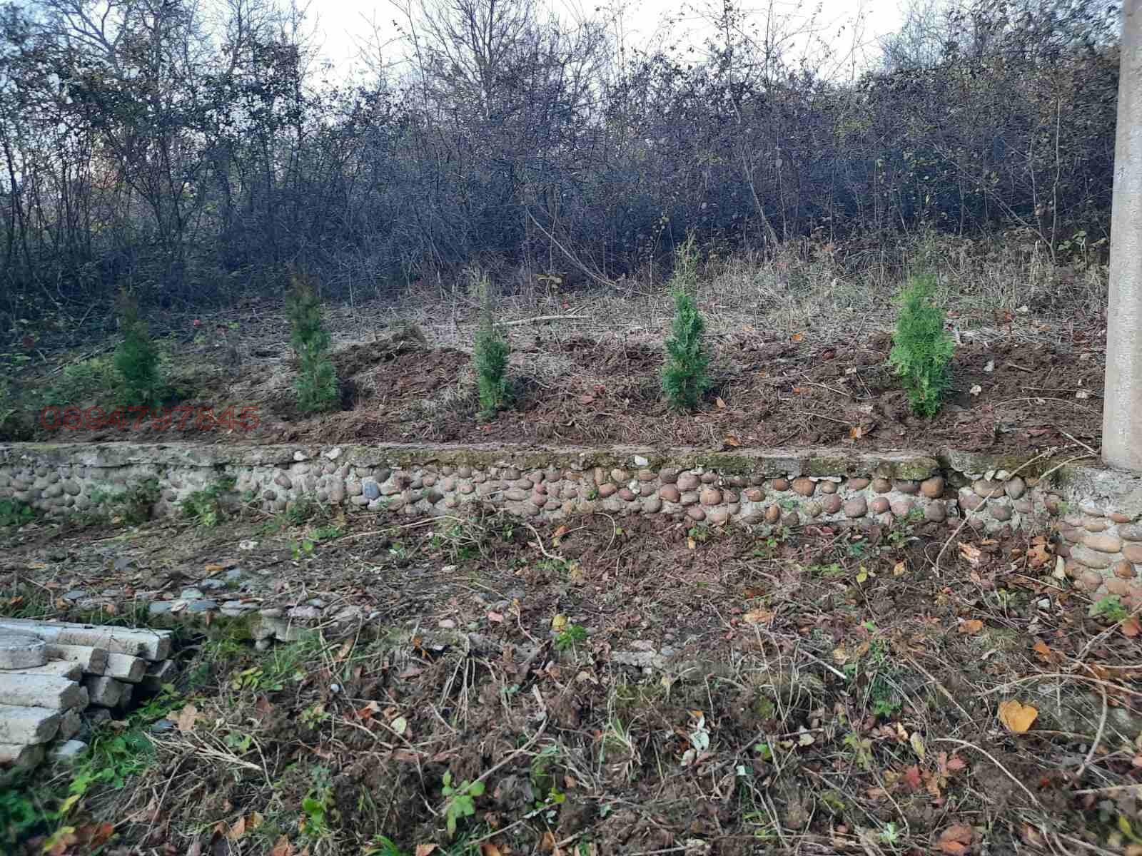 ������� ���� | Imot.bg � ����������� 8