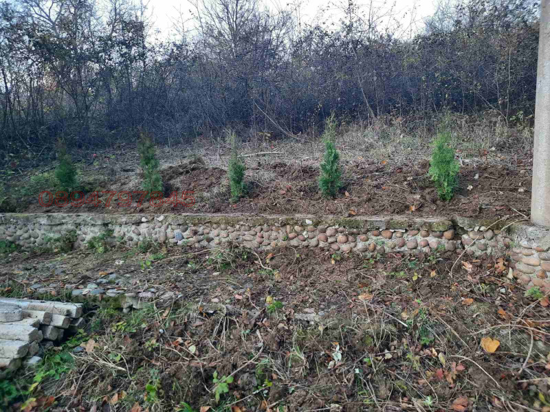 Продава ВИЛА, с. Типченица, област Враца, снимка 8 - Вили - 52925319