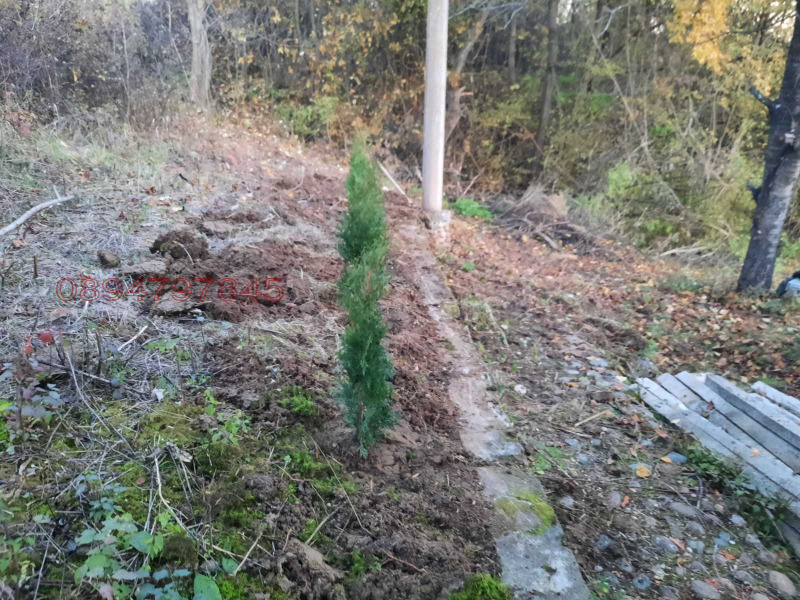 Продава ВИЛА, с. Типченица, област Враца, снимка 7 - Вили - 52925319