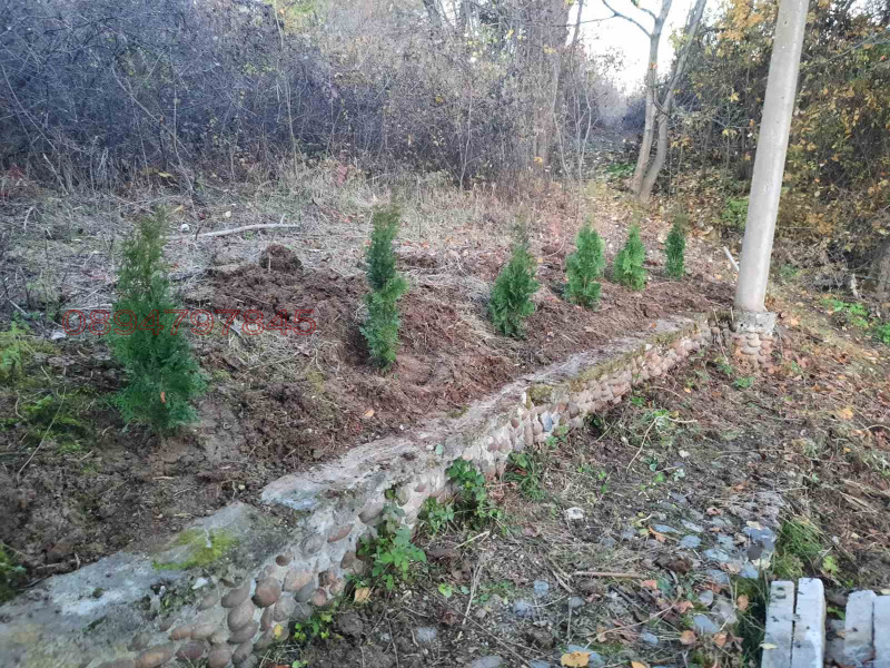 Продава ВИЛА, с. Типченица, област Враца, снимка 6 - Вили - 52925319