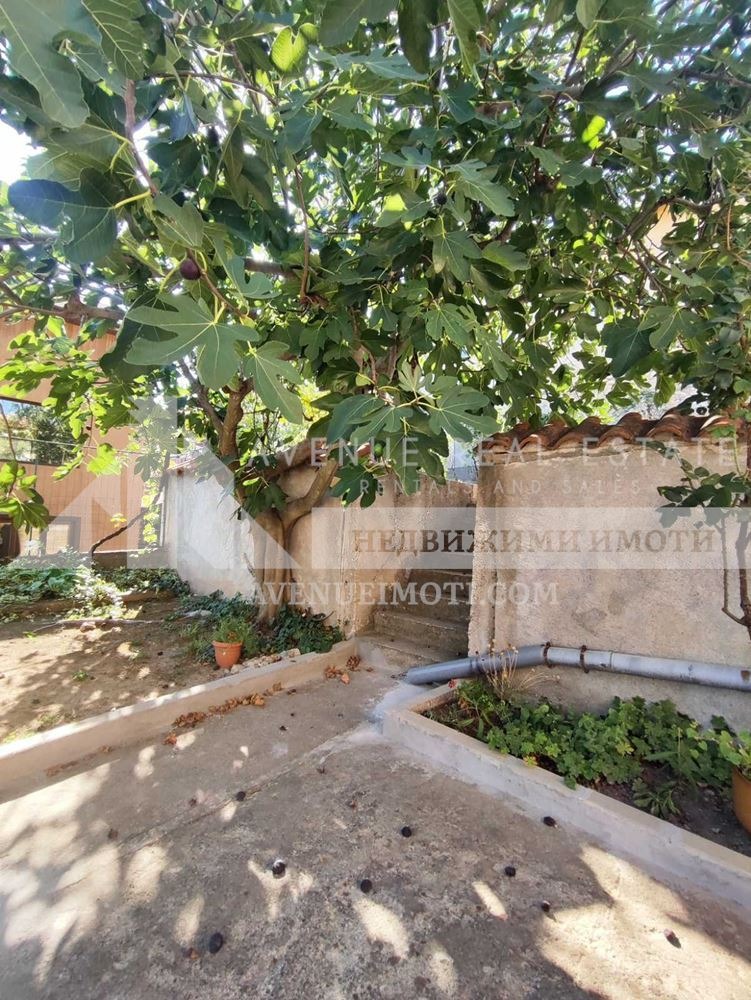 Till salu  Hus region Plovdiv , Perustjica , 150 kvm | 69275618 - bild [5]