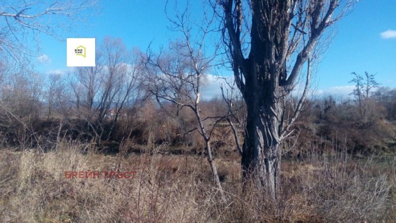 For Sale  Plot Sofia , Chepintsi , 16565 sq.m | 58998201 - image [4]