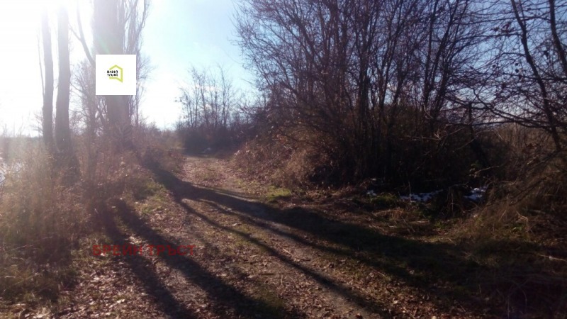 For Sale  Plot Sofia , Chepintsi , 16565 sq.m | 58998201 - image [6]