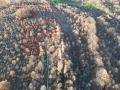 Продава ПАРЦЕЛ, с. Близнаци, област Варна, снимка 2